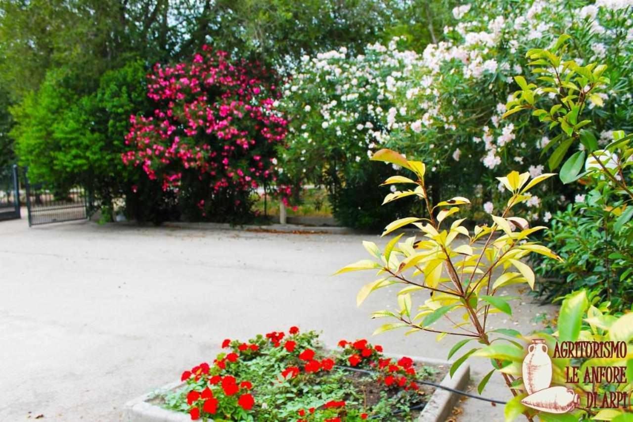 Le Anfore Di Arpi Alloggio per agriturismo *