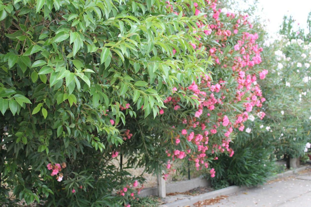 Alloggio per agriturismo Le Anfore Di Arpi Foggia