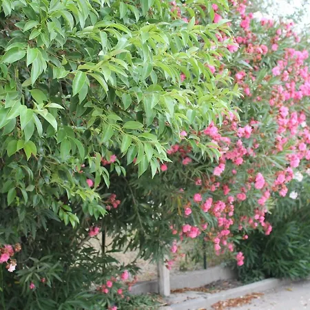 Le Anfore Di Arpi Foggia Exterior photo